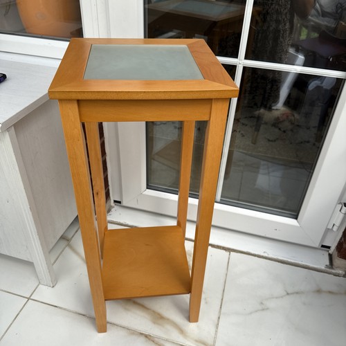 Tall table side plant - ,